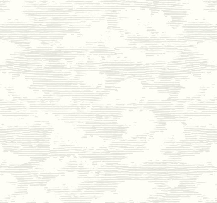 Cloud Cover Grey Wallpaper by York Wallcoverings Silhouettes Covers about 60.8 square feet 27-in by 27-ft long roll Prepasted 25.25 - Fabric Carolina -