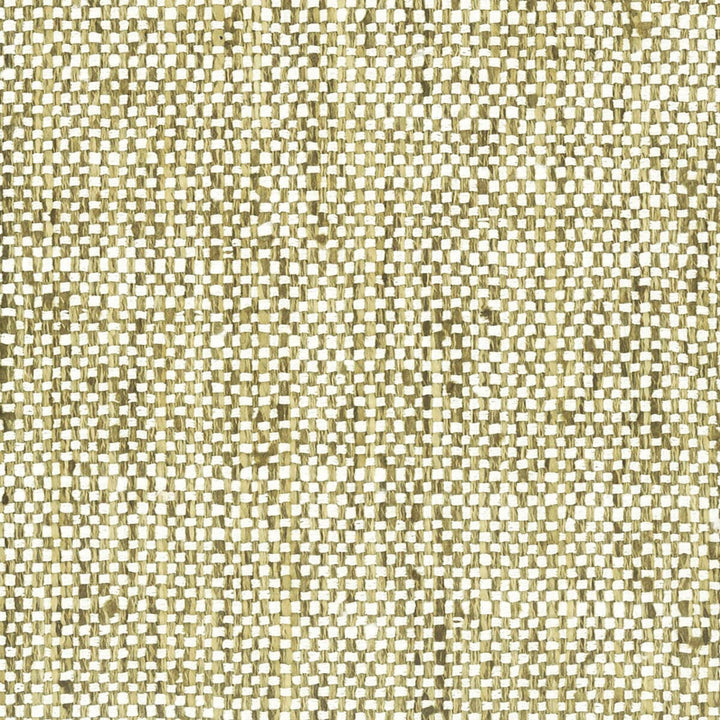 Stafford 4 Jute by Stout Fabric CURB APPEAL 100%POL INDIA FLAME RETARDANT-U.F.A.C. CLASS 1 FLAME RETARDANT-N.F.P.A. 260A CLASS 1 CATB 117-2013 WYZENBEEK 30 000 DOUBLE RUB WEAR TEST (HEAVY DUTY) Horizontal: 0 and Vertical: 0 54 in - Fabric Carolina -