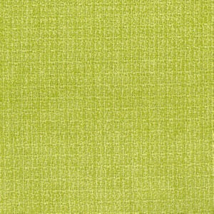 Stamp Lime by Norbar Fabric See Sample 100% POLYESTER 15,000 WYZEBEEK 56 - Fabric Carolina -