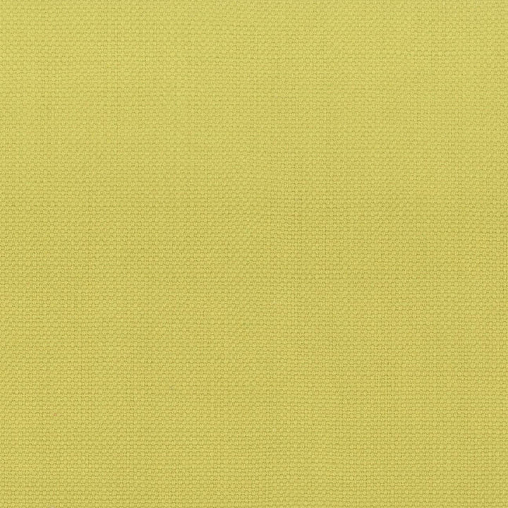 Stanford 10 Citrine by Stout Designer Fabric A LA MODE 100%COT INDIA Horizontal: 0 and Vertical: 0 54 in - Swanky Fabrics -