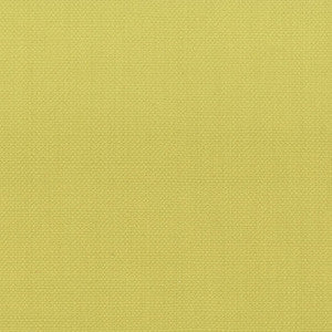 Stanford 10 Citrine by Stout Fabric