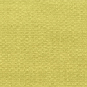 Stanford 10 Citrine by Stout Fabric