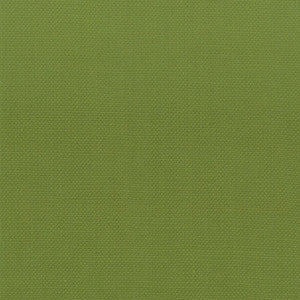 Stanford 14 Lime by Stout Fabric
