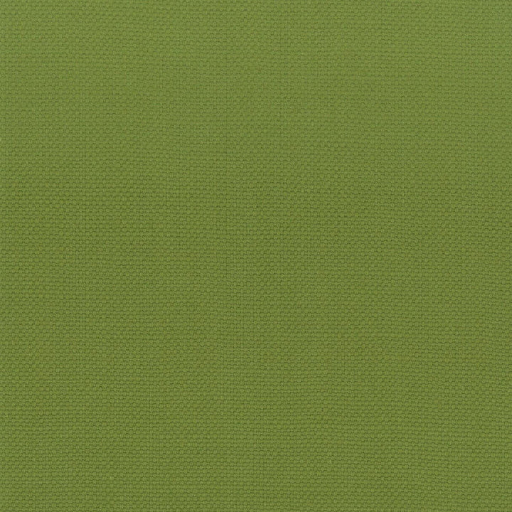 Stanford 14 Lime by Stout Designer Fabric A LA MODE 100%COT INDIA Horizontal: 0 and Vertical: 0 54 in - Swanky Fabrics -