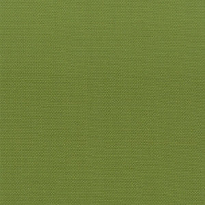 Stanford 14 Lime by Stout Fabric