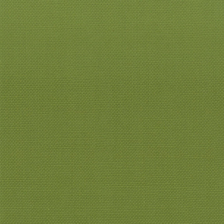 Stanford 14 Lime by Stout Fabric Stout Fabric Stanford 14 LimeFabric A LA MODE 100%COT INDIA </p><p>Repeat: H: 0.000, V: 0.000 54 in - Fabric Carolina -