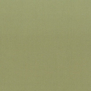 Stanford 1 Pistachio by Stout Fabric