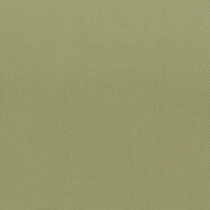 Stanford 1 Pistachio by Stout Fabric