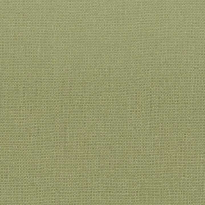 Stanford 1 Pistachio by Stout Fabric Stout Fabric Stanford 1 PistachioFabric A La Mode 100%Cot India </p><p>Repeat: H: 0, V: 0 54 in - Fabric Carolina -