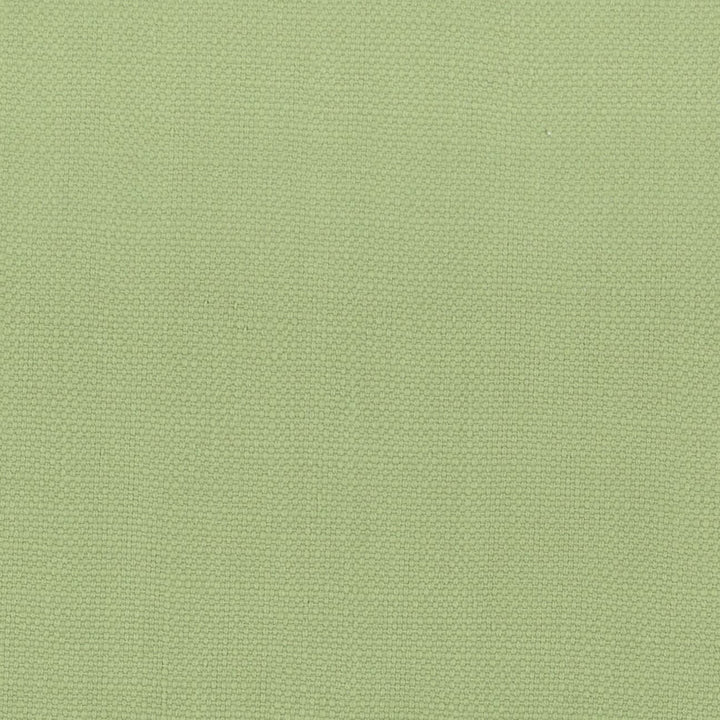 Stanford 22 Pear by Stout Fabric A LA MODE 100%COT INDIA Horizontal: 0 and Vertical: 0 54 in - Fabric Carolina -