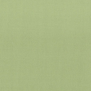 Stanford 22 Pear by Stout Fabric