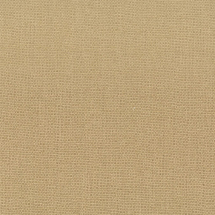Stanford 23 Raffia by Stout Fabric A LA MODE 100%COT INDIA MARTINDALE WEAR TEST (20 000 CIRCULAR RUBS) Horizontal: 0.000 and Vertical: 0.000 54 in - Fabric Carolina -