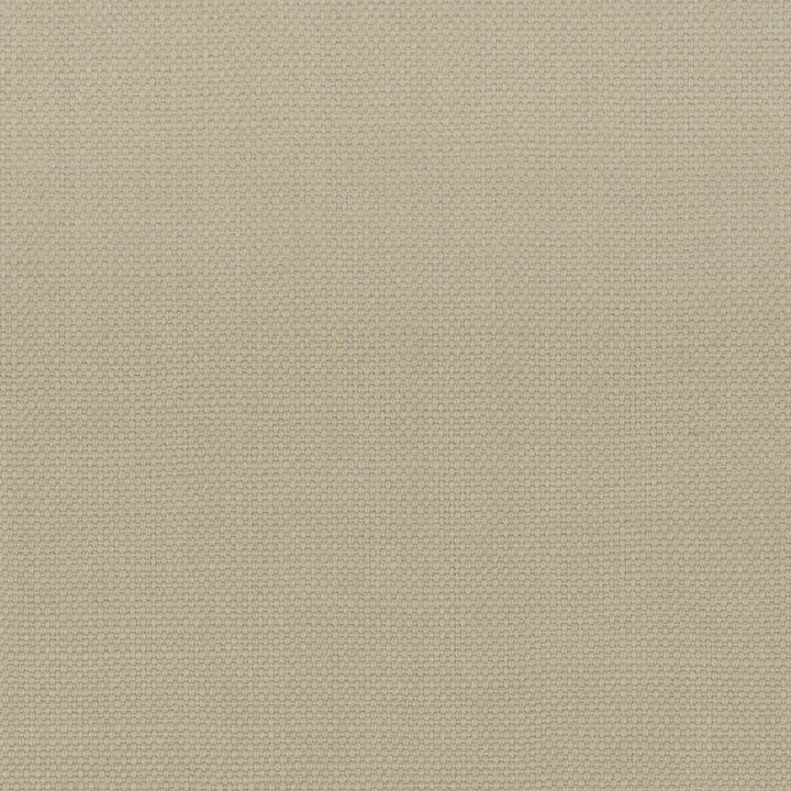 Stanford 24 Mushroom by Stout Fabric A LA MODE 100%COT INDIA Horizontal: 0 and Vertical: 0 54 in - Fabric Carolina -