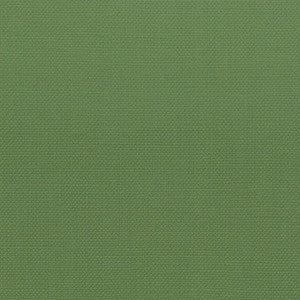 Stanford 27 Grass by Stout Fabric