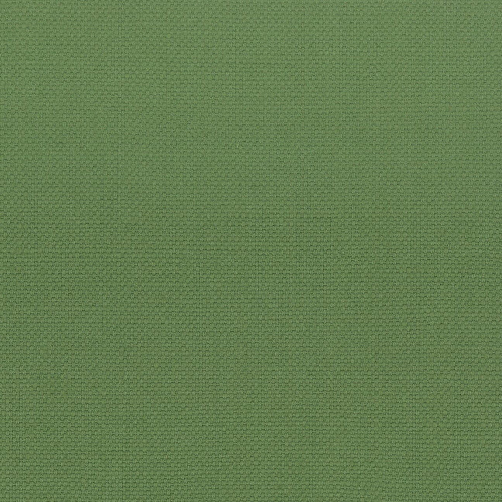 Stanford 27 Grass by Stout Fabric Stout Fabric Stanford 27 GrassFabric A LA MODE 100%COT INDIA </p><p>Repeat: H: 0.000, V: 0.000 54 in - Fabric Carolina -