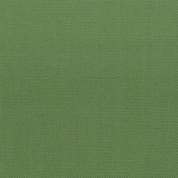 Stanford 27 Grass by Stout Fabric A LA MODE 100%COT INDIA Horizontal: 0.000 and Vertical: 0.000 54 in - Fabric Carolina -
