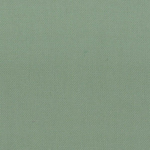 Stanford 28 Aloe by Stout Fabric