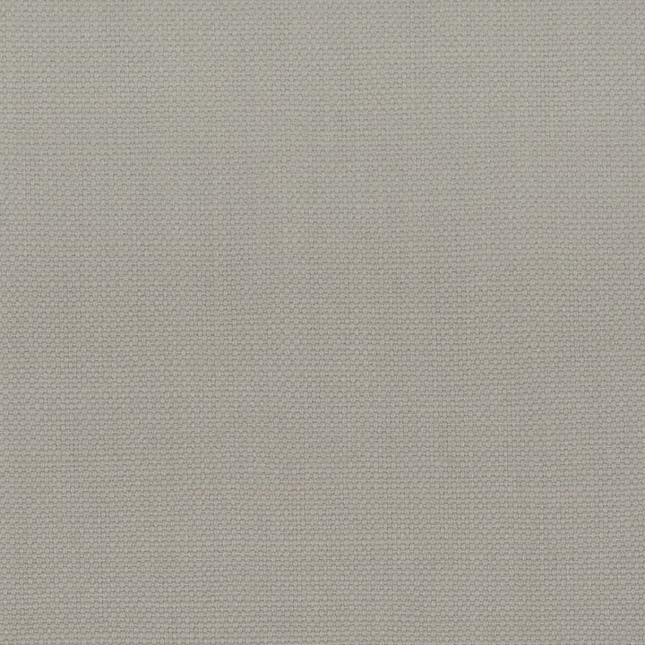 Stanford 42 Dove by Stout Fabric A LA MODE 100%COT INDIA Horizontal: 0 and Vertical: 0 54 in - Fabric Carolina -