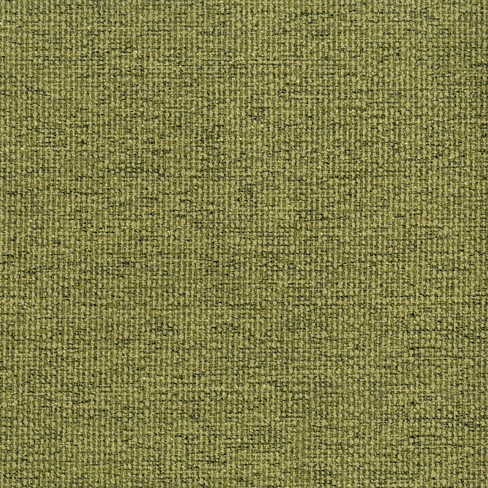 Northern 205 Pistachio by ABBEYSHEA Fabric 100% Polyester China 35,000 Double Rubs (Wyzenbeek) </p><p>Repeat: Horizontal: and Vertical: 54" (137 cm) - Fabric Carolina -