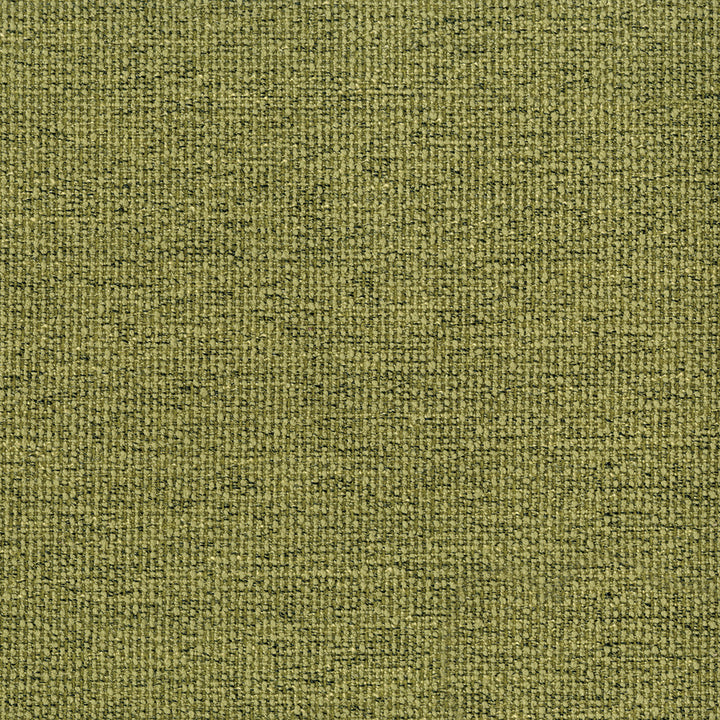 Northern 205 Pistachio by ABBEYSHEA Fabric N/A 100% Polyester China 12,000 Double Rubs </p><p>Repeat: Horizontal: and Vertical: 57" (144 cm) - Fabric Carolina -