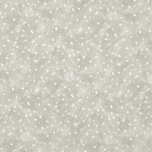 Starry Sky Wheat STARRY SKY.106.0 by Kravet Basics Fabric