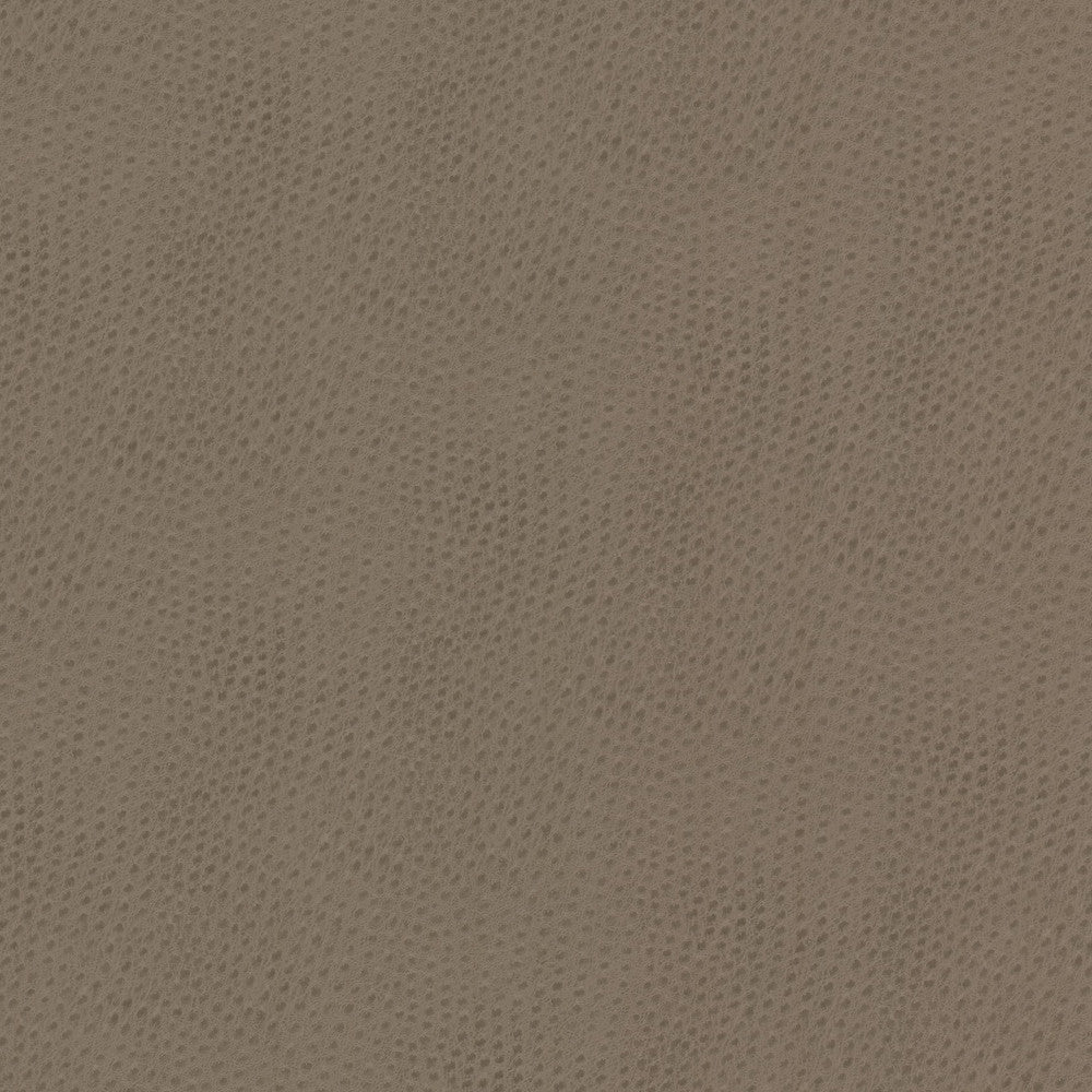 Steeplechase 1 Putty by Stout Fabric Stout Fabric Steeplechase 1 PuttyFabric LEATHER LOOKS V 100%POU 1%OTH KOREA </p><p>Repeat: H: 0.000, V: 0.000 54 in - Fabric Carolina -