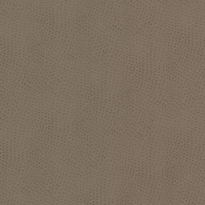 Steeplechase 1 Putty by Stout Fabric Stout Fabric Steeplechase 1 PuttyFabric LEATHER LOOKS V 100%POU 1%OTH KOREA </p><p>Repeat: H: 0.000, V: 0.000 54 in - Fabric Carolina -