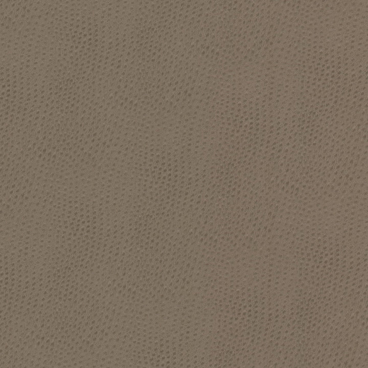 Steeplechase 1 Putty by Stout Designer Fabric LEATHER LOOKS V 100%POU 1%OTH KOREA Horizontal: 0.000 and Vertical: 0.000 54 in - Swanky Fabrics -