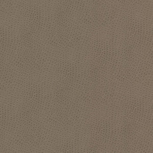 Steeplechase 1 Putty by Stout Fabric