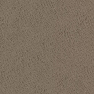 Steeplechase 1 Putty by Stout Fabric