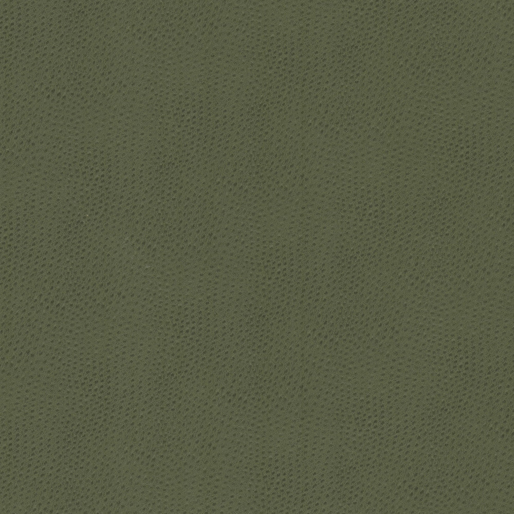 Steeplechase 2 Dill by Stout Fabric Stout Fabric Steeplechase 2 DillFabric LEATHER LOOKS V 100%POU 1%OTH KOREA </p><p>Repeat: H: 0.000, V: 0.000 54 in - Fabric Carolina -