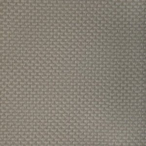 Stein Porcini STEIN.11.0 by Kravet Contract Fabric