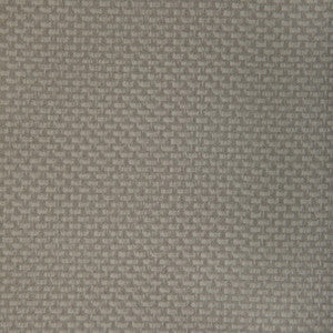 Stein Porcini STEIN.11.0 by Kravet Contract Fabric