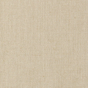 Stella 3 Powder by Stout Fabric