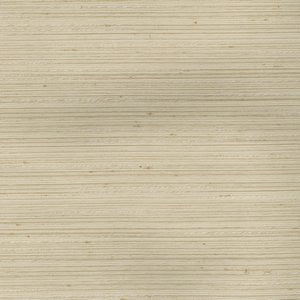 Stetson Bone 07 by Norbar Fabric RINGO 100% POLYESTER INDIA NO TESTING AVAIL </p><p>Repeat: N/A - Fabric Carolina -