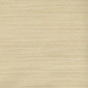 Stetson Champagne 06 by Norbar Fabric RINGO 100% POLYESTER INDIA NO TESTING AVAIL </p><p>Repeat: N/A - Fabric Carolina -