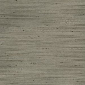 Stetson Taupe 22 by Norbar Fabric See Sample 100% POLYESTER INDIA NO TESTING AVAIL N/A - Fabric Carolina -
