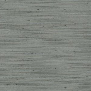 Stetson Viridian Grey 20 by Norbar Fabric RINGO 100% POLYESTER INDIA NO TESTING AVAIL </p><p>Repeat: N/A - Fabric Carolina -