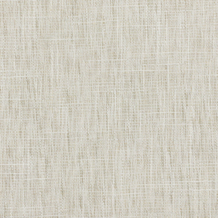 Stomp 3 Natural by Stout Designer Fabric TEXTURE APPEAL 100%POL INDIA Horizontal: 0.000 and Vertical: 0.000 55 in - Swanky Fabrics -
