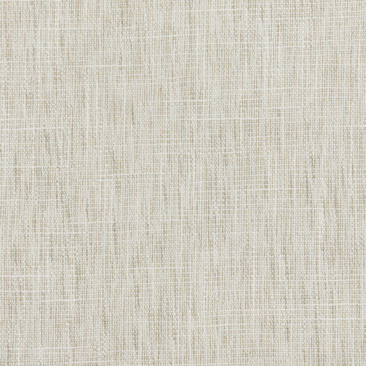 Stomp 3 Natural by Stout Fabric TEXTURE APPEAL 100%POL INDIA Horizontal: 0.000 and Vertical: 0.000 55 in - Fabric Carolina -