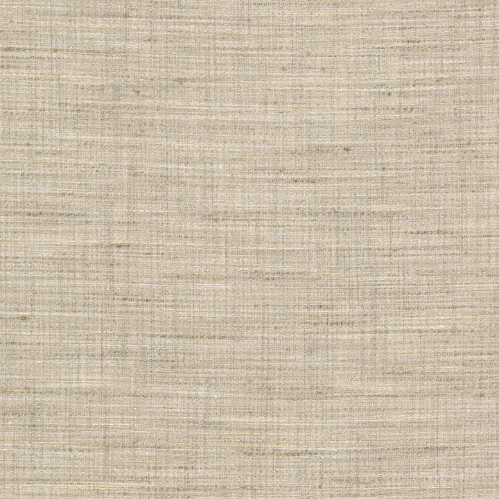 Stopper 1 Champagne by Stout Fabric Stout Fabric Stopper 1 ChampagneFabric Rainbow Library Sandune/Desert 100%Pol India </p><p>Repeat: H: 0, V: 0 55 in - Fabric Carolina -