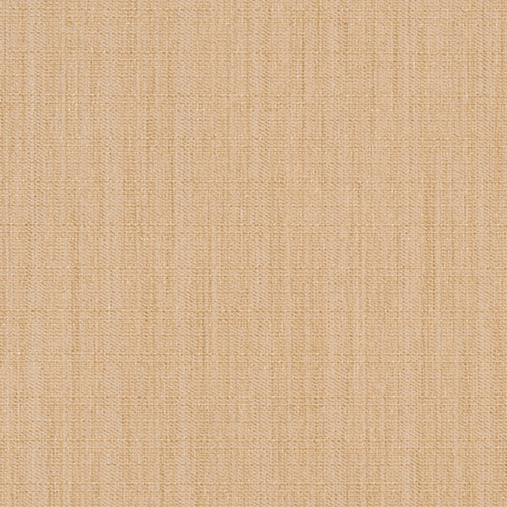 Strathroy 11J7031 by JF Crypton Fabric Crypton Binder 100% Polyester Taiwan 50000 Horizontal: and Vertical: 54 - Fabric Carolina -