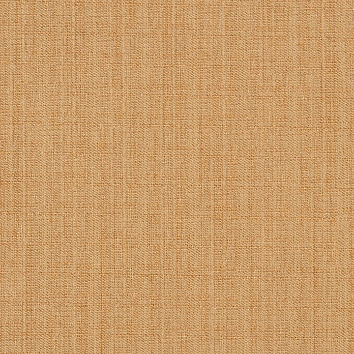 Strathroy 17J7031 by JF Crypton Fabric Crypton Binder 100% Polyester Taiwan 50000 Horizontal: and Vertical: 54 - Fabric Carolina -