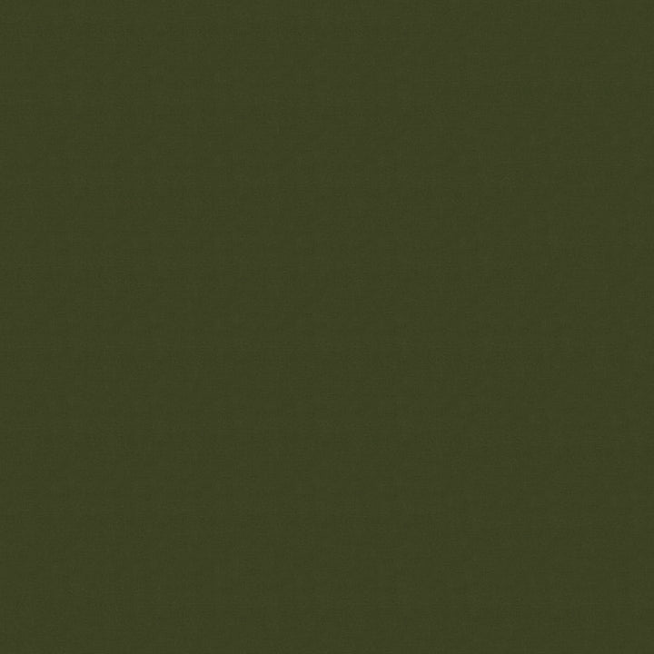 Stratosphere 2413 Moss by ABBEYSHEA Fabric 100% Polyvinyl Chloride (PVC) Columbia 100,000 Double Rubs (Wyzenbeek) </p><p>Repeat: Horizontal: and Vertical: 54" (137 cm) - Fabric Carolina -