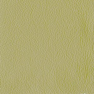 Strauss Aloe 3305 by Norbar Fabric