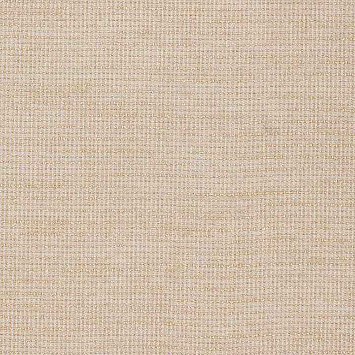 Strong 11J5361 by JF Fabric WINNING WEAVES 58% Polyester, 38% Acrylic, 4% Viscose Turkey 30000 Horizontal: and Vertical: 55 - Fabric Carolina -