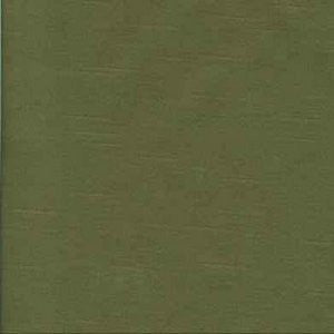 Studio Asparagus by Norbar Fabric