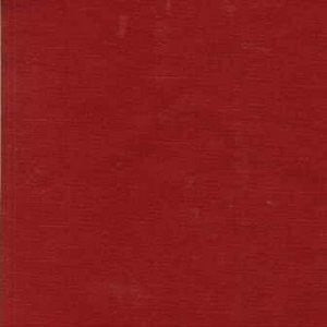 Studio Cinnamon by Norbar Fabric