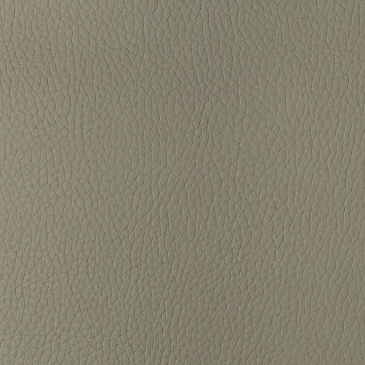 Sugarmaple-116 by Kravet Design Fabric POLYCARBONATE - 100% Japan HEAVY Horizontal: 0 and Vertical: 0 54 - Fabric Carolina -