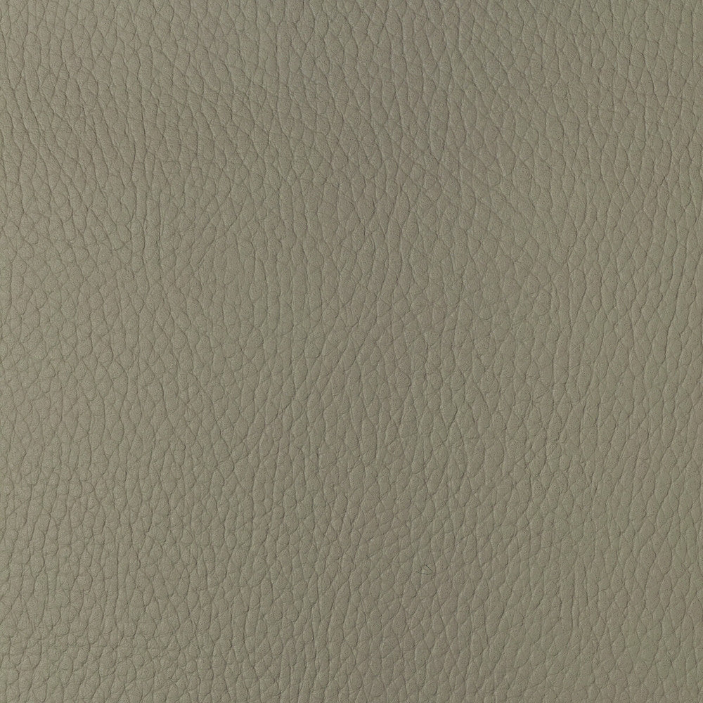 Sugarmaple-116 by Kravet Design Fabric POLYCARBONATE - 100% Japan HEAVY Horizontal: 0 and Vertical: 0 54 - Fabric Carolina -